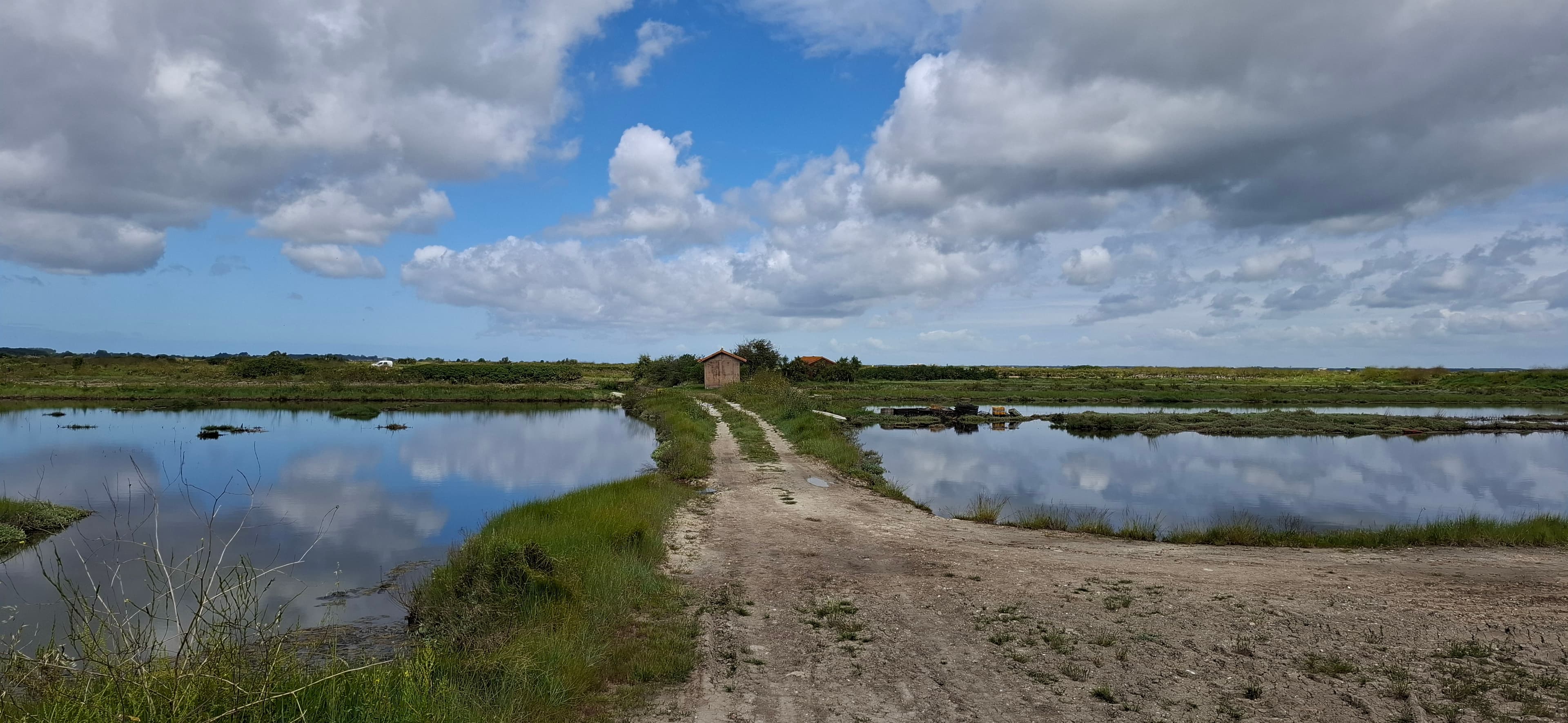 Les marais de la Seudre et une cabane ostréicole